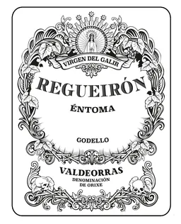 Bodegas Virgen del Galir Regueiron Godello