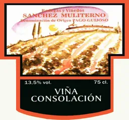 Vino de Pago Guijoso Vina Consolacion
