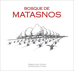 Bosque de Matasnos