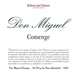 Don Miguel