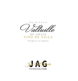 Jose Antonio Garcia Valtuille Vino de Villa