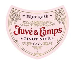 Juve & Camps Pinot Noir Brut Rose