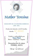 Mather Teresina