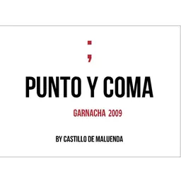 Punto Y Coma