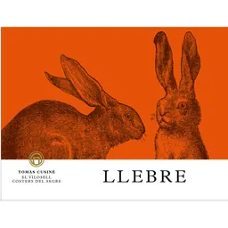 Llebre