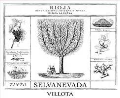 Selvanevada Rioja