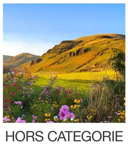 Hors Categorie Syrah