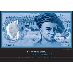 Steele Shooting Star Blue Franc