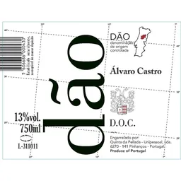 Alvaro Castro Dao Red