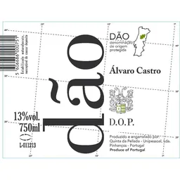 Alvaro Castro Dao White