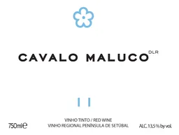 Cavalo Maluco