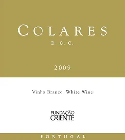 MJC Colares Branco