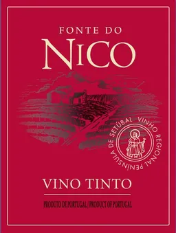 Fonte do Nico Tinto