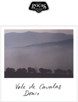 Val de Cavalos