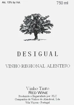 Desigual Tinto