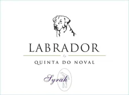 Labrador Syrah