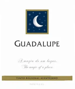 Guadalupe Tinto