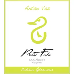 Pato Frio Antao Vaz
