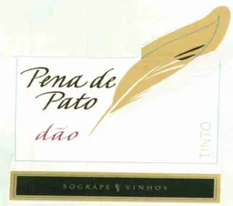 Pena de Pato Branco