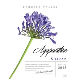 Agapanthus Shiraz