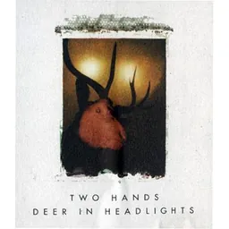 Deer In The Headlights Shiraz