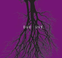 Channing Daughters Due Uve