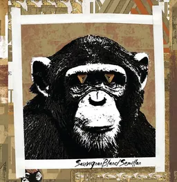 The Infinite Monkey Theorem Sauvignon Blanc Semillon