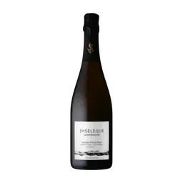 Soliste Les Gayeres Pinot Noir Extra Brut