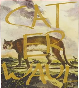Caterwaul Cabernet Sauvignon Napa
