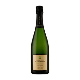 Agrapart Terroirs Extra Brut Blanc De Blancs