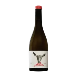 Javier Revert Micalet Blanco