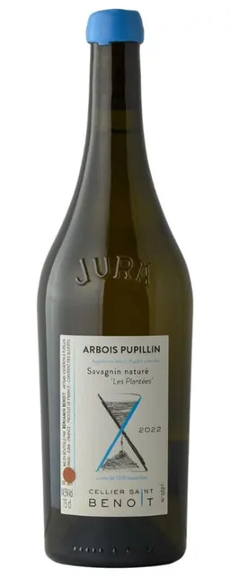 Cellier Saint Benoit Les Plantees Savagnin Nature