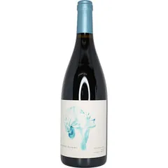 Stargazing Pinot Noir