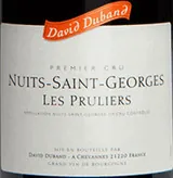 Nuits-St-Georges 1er Cru Les Pruliers