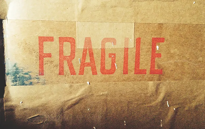 Fragile Rose Bottle