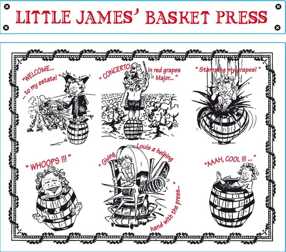 Little James Basket Press Bottle
