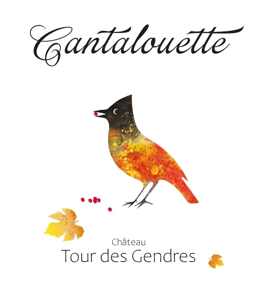 Tour des Gendres Bergerac Rouge Cantalouette Bottle