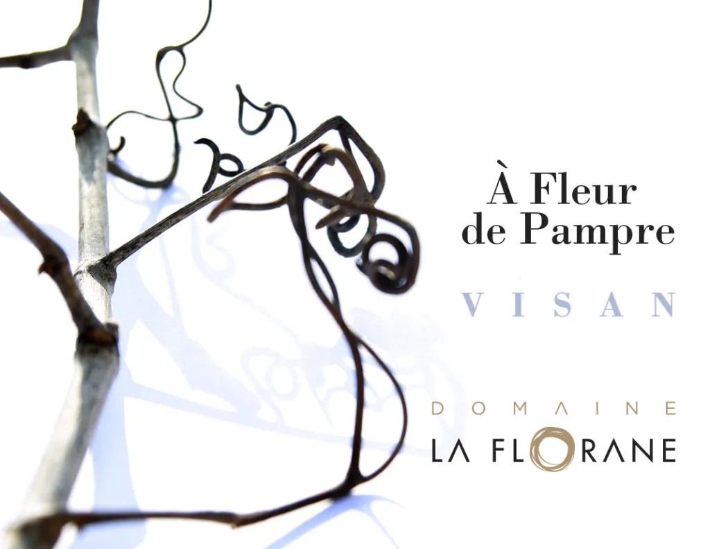 Cotes du Rhone Villages A Fleur de Pampre Rouge Bottle