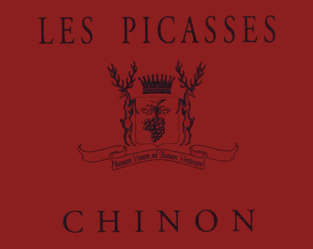 Chinon Les Picasses Bottle