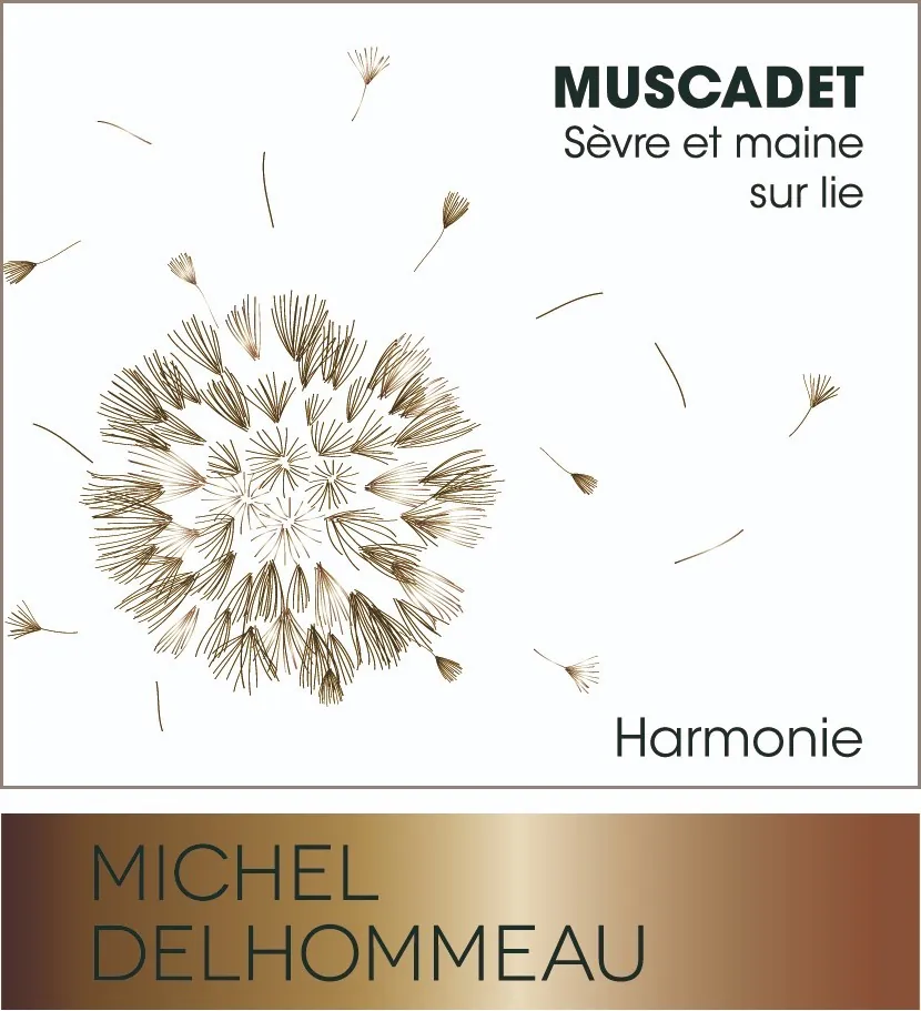 Muscadet de Sevre et Maine Harmonie Bottle