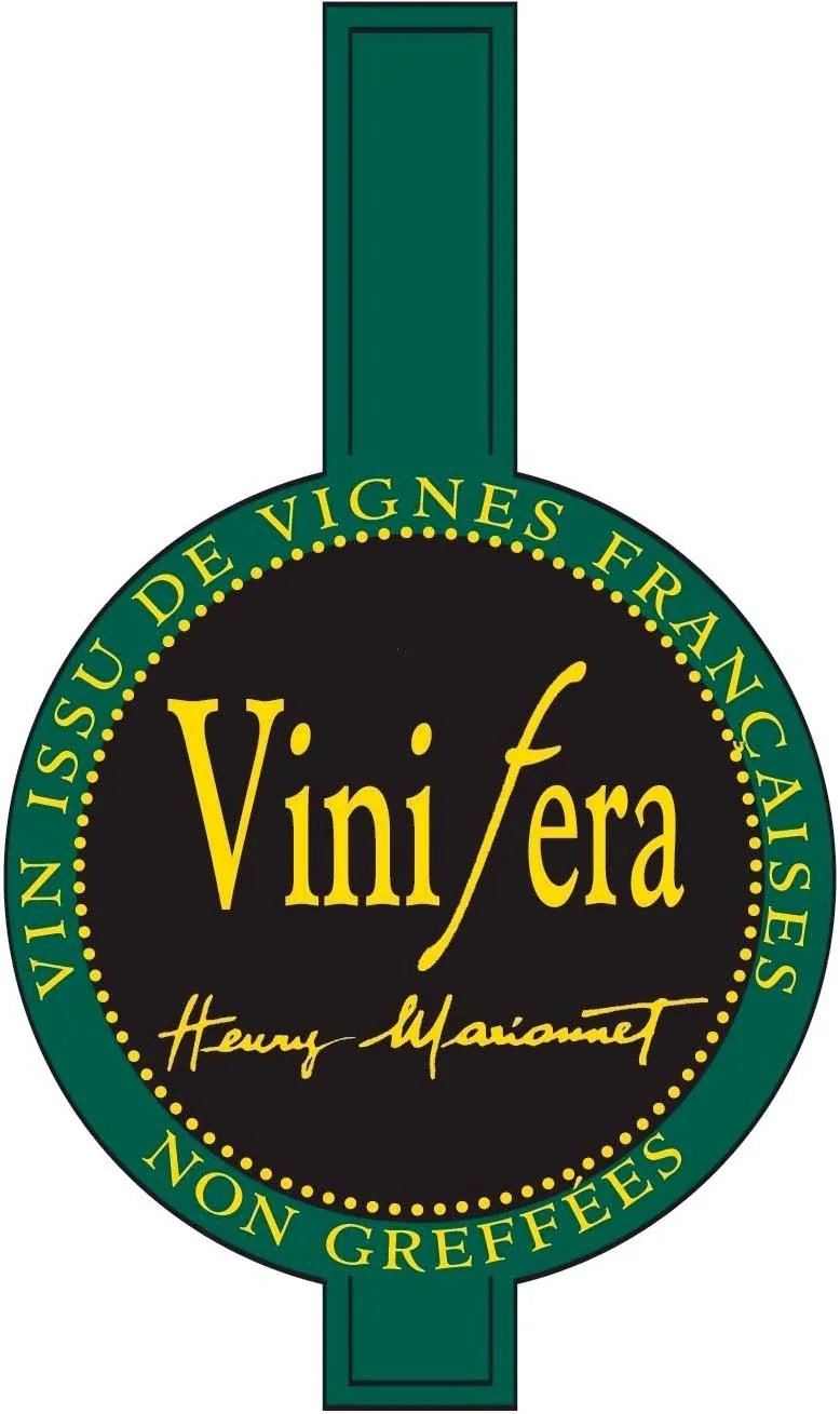 Touraine Vinifera Chenin Bottle