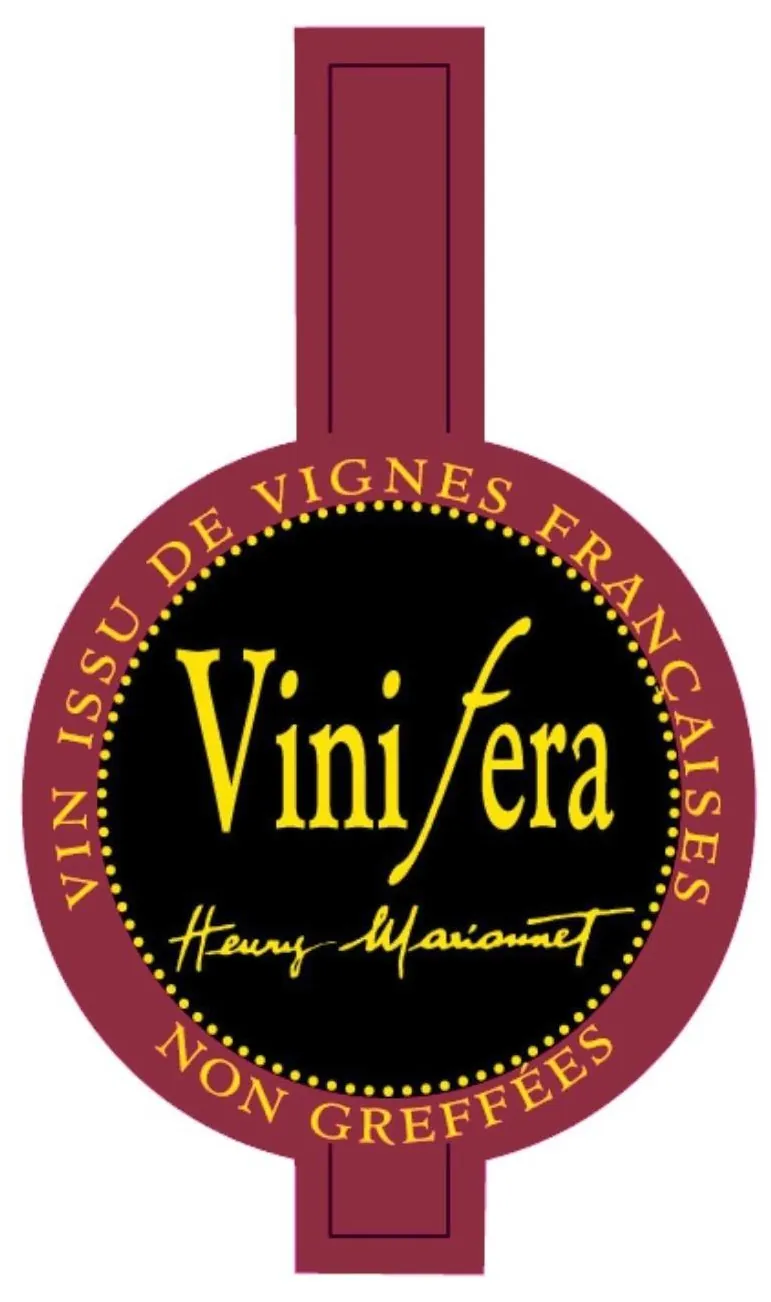 Touraine Vinifera Cot Bottle