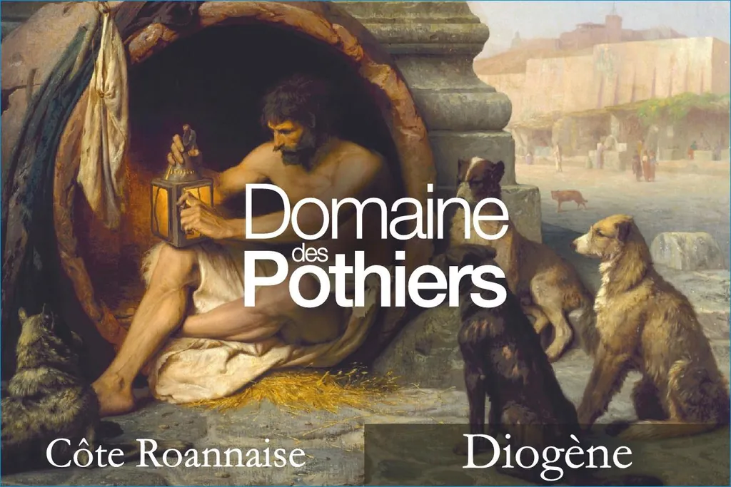 Cote Roannaise Cuvee Diogene Bottle