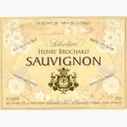 Sauvignon Blanc Bottle