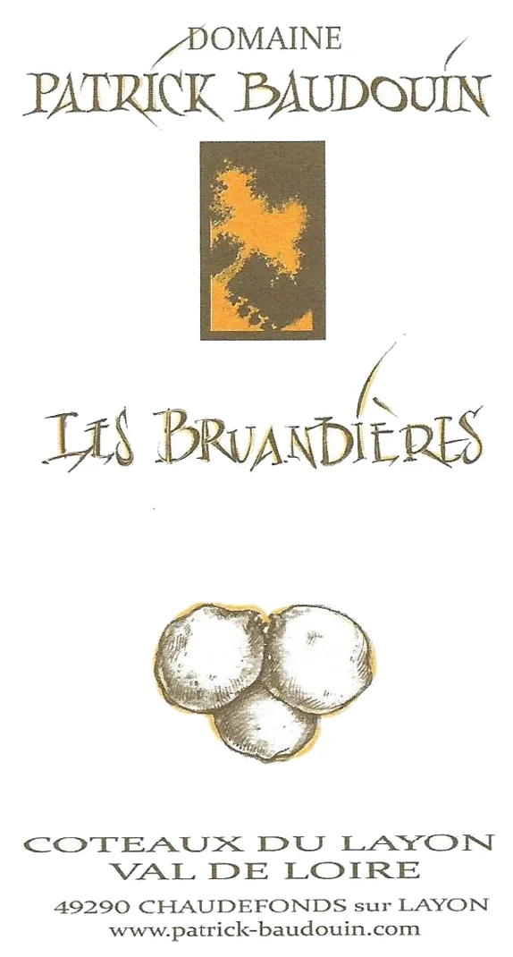 Coteaux du Layon Les Bruandieres Bottle
