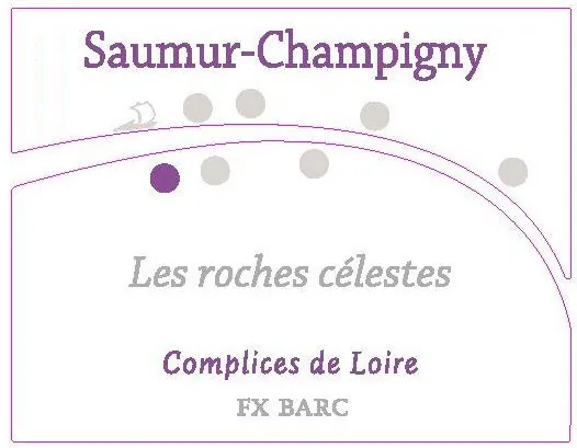 Saumur-Champigny Les Roches Celestes Bottle
