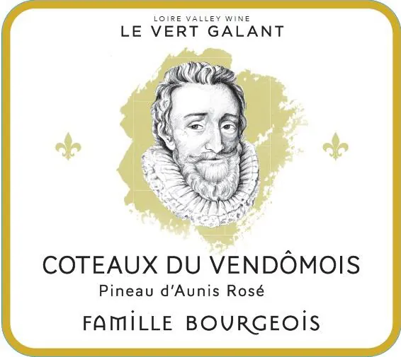 Le Vert Galant Pineau d'Aunis Rose Bottle