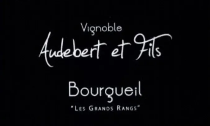 Bourgueil Les Grands Rangs Bottle