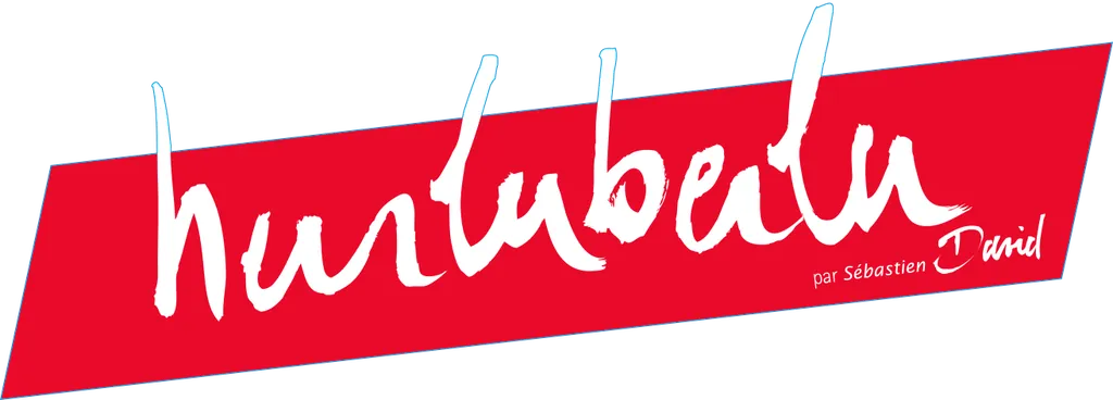 Saint Nicolas de Bourgueil Hurluberlu Bottle