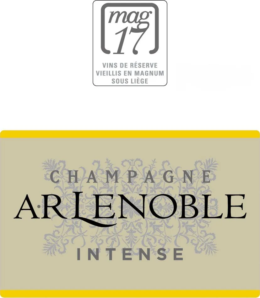 Brut Intense Mag 17 Bottle